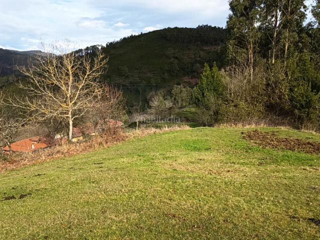 Casa en venta en Salas. Casería con 62.000 m2 terreno, zona Cornellana Salas. Casas.