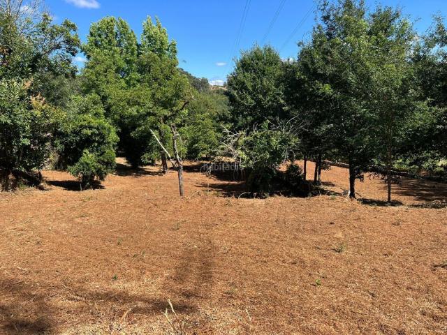 Casa en venta en Salvaterra de Miño. Oportunidad de Inversión Vivienda a Reformar en Entorno Natural. Casas Salvaterra de.
