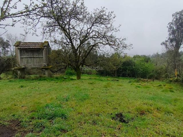 Casa en venta en San Cristovo de Cea. CASA PARA REFORMAR EN SAN CRISTOVO DE CEA. Casas San Cristovo de.