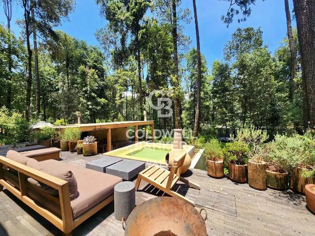 Casa en venta en San Simón El Alto | Refugio contemporáneo en el bosque