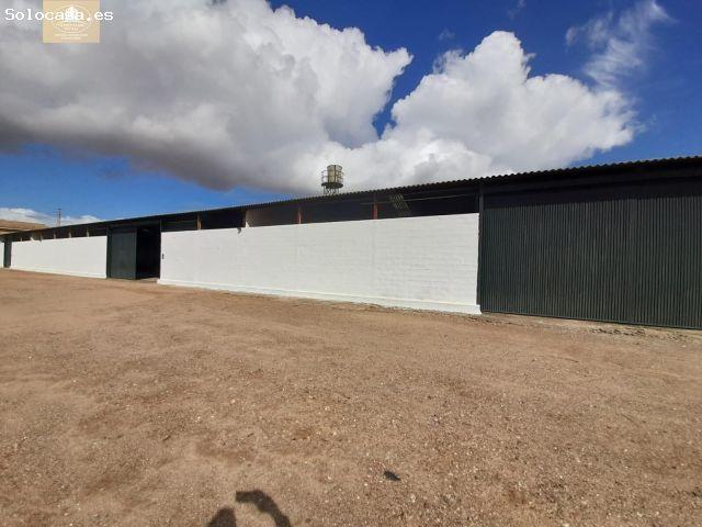 Casa en Venta en Sanlúcar la Mayor, Sevilla