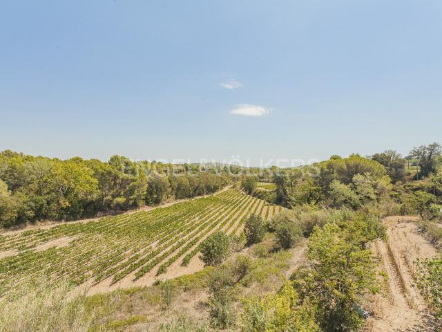 Casa en venta en Sant Martí Sarroca. Preciosa finca centenaria a rehabilitar. Casas Sant Martí.