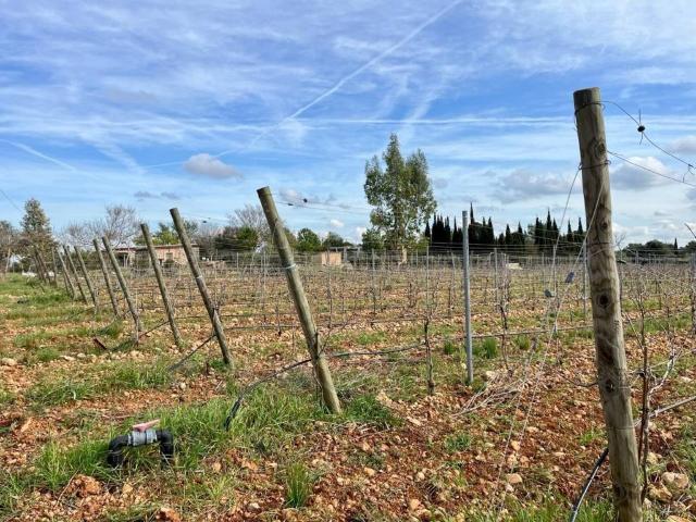 Casa en Venta en Sencelles