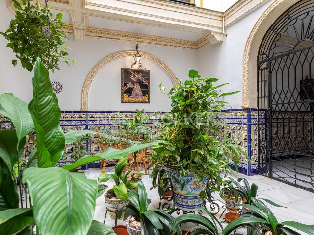 Casa en venta en Sevilla, Arenal Museo. Auténtica casa familiar en el corazón de Sevilla. Casas.