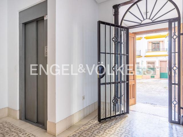 Casa en venta en Sevilla, Arenal Museo. Exclusiva casa completa en El Arenal con garaje y licencia turística con vistas a la Giralda. Casas.