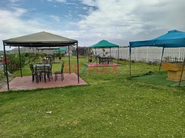 Perú, Socabaya, Socabaya, Provincia de Arequipa, Arequipa