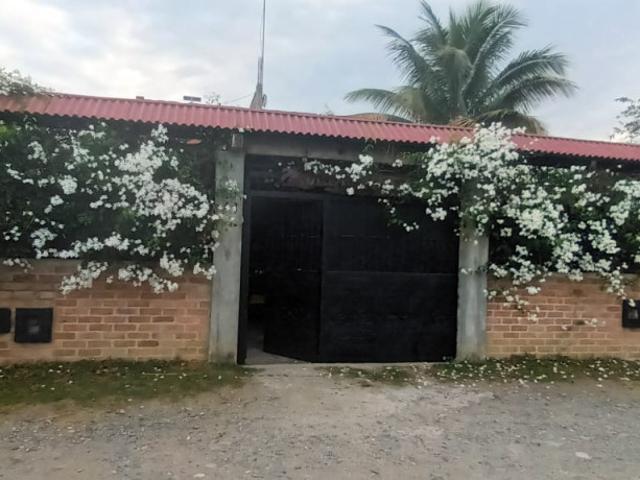 Casa En Venta En Tulua En Mana V199463