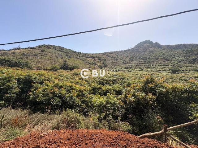 Casa en venta en Tegueste. Exclusiva finca en El Socorro Tegueste. Casas.