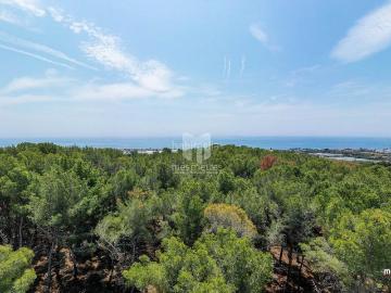 Casa en venta en Teià. Casas.