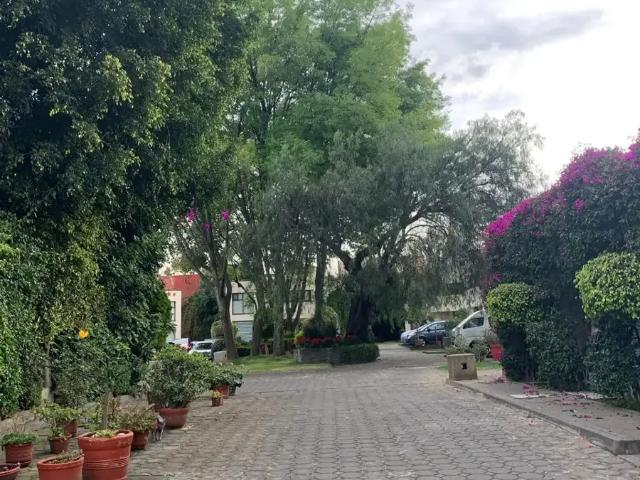 Casa en Venta en Tlalpan Centro, Tlalpan, Ciudad de México