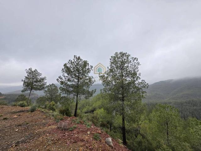 Casa en Venta en Torralba del Pinar