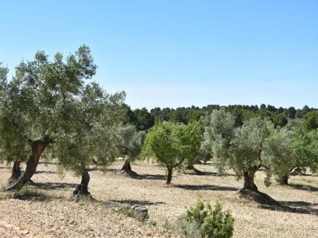 Casa en venta en Torre del Compte Teruel