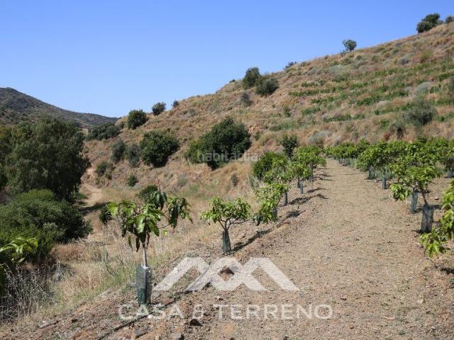 Casa en venta en Totalán. Encantadora finca con gran terreno en Totalán A solo 30 minutos de Málaga. Casas.