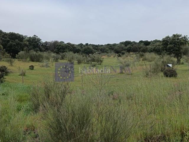 Casa en venta en Trujillo. FINCA POR LA ZONA DE TRUJILLO. Casas.