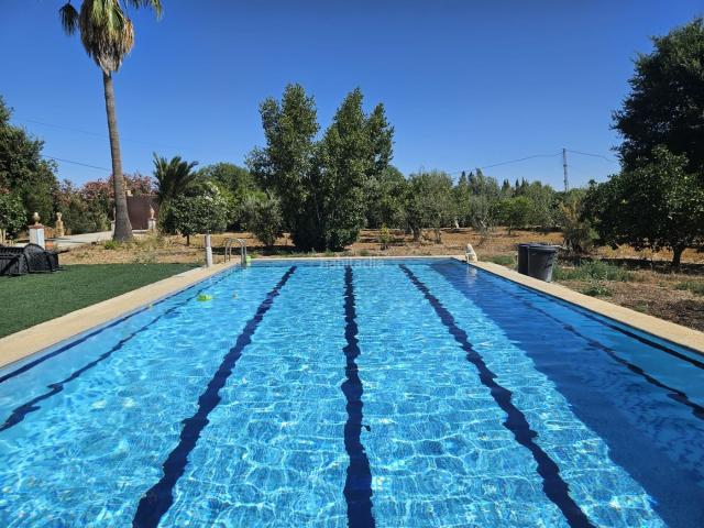 Casa en venta en Utrera, Pedanías Norte. CHALET EN VENTA A 5 MINUTOS DE UTRERA. Casas.