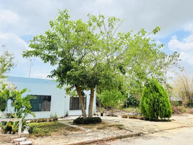 CASA EN VENTA EN UC? YUCATAN, LIBRE DE GRAVAMEN