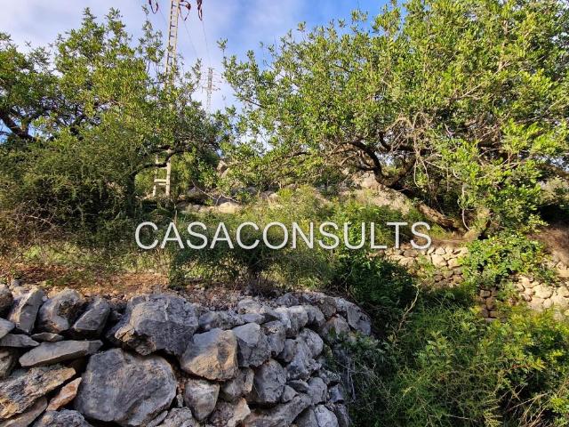 Casa en venta en Useras Castellón