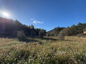 Casa en venta en Valderrobres Teruel