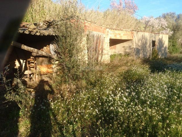 Casa en venta en Vall d´Alba. Casa dos terrenos VENTA en Vall dAlba, 170 m.casa, terreno olivos 4.000 mt almendros 30.000 mt. Casas Vall.