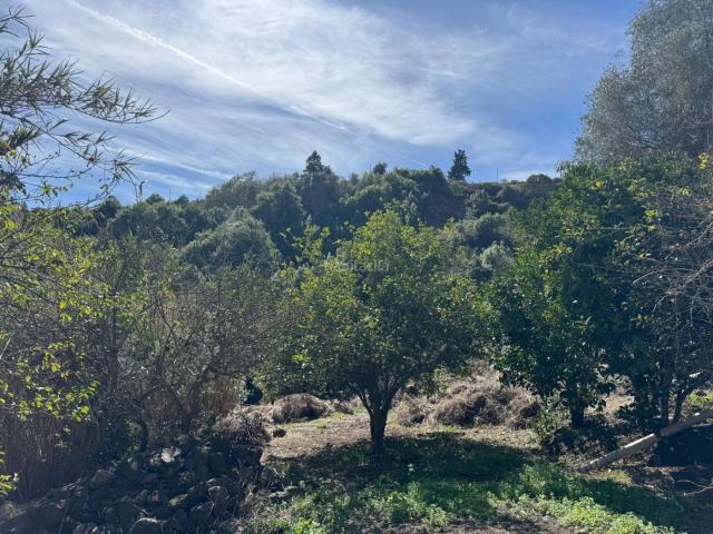 Casa en venta en Valleseco. Tu finca perfecta casa y terrenos en Valleseco Gran Canaria. Casas.