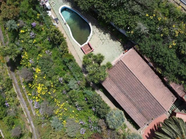 Casa en venta en Vega de San Mateo. Finca con encanto a pocos minutos de Vega de San Mateo. Casas Vega de San.