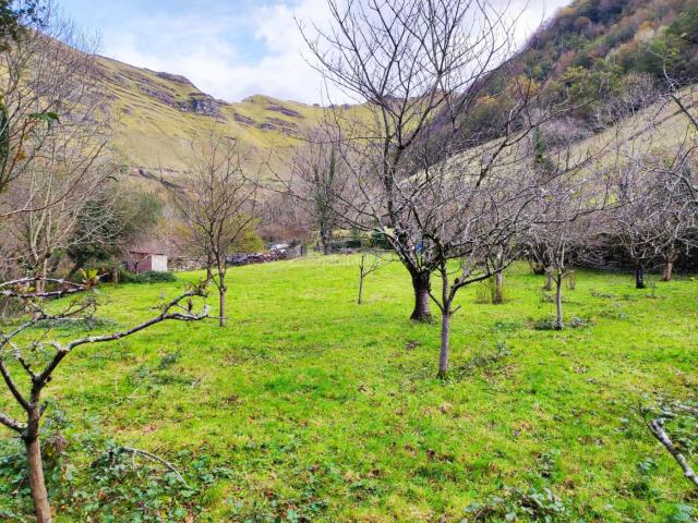 Casa en venta en Vega de Pas. FANTÁSTICA CABAÑA EN EL VALLE DE YERA, VEGA DE PAS! MARAVILLOSA cabaña, con un terreno ideal para poder desconectar del estrés d. Casas Vega de.