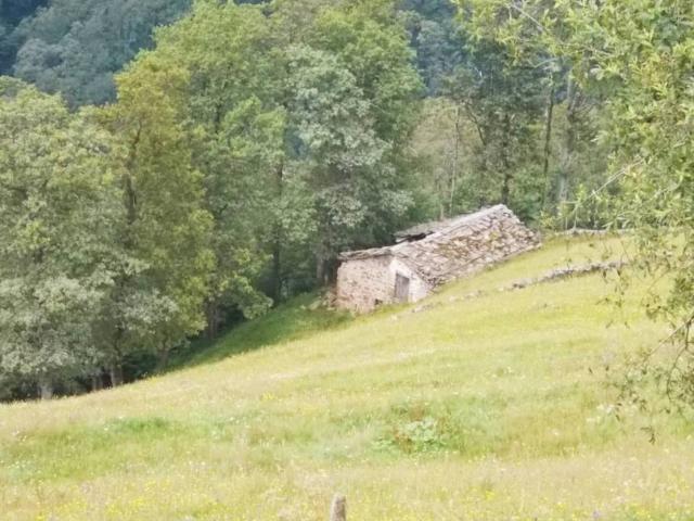 Casa en Venta en Vega de Pas