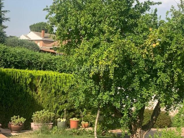 Casa en venta en Villalbilla, Peñas Albas Zulema. Casas.