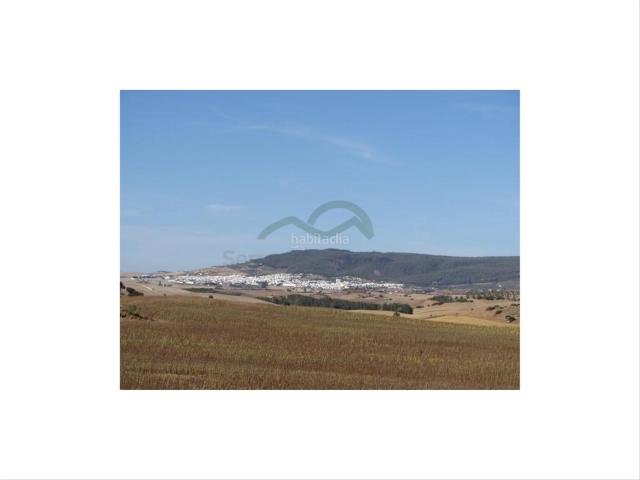 Casa en venta en Villamartín. Cortijo Ecuestre, 100 h, Casa, Casita, Cortijo. Casas.