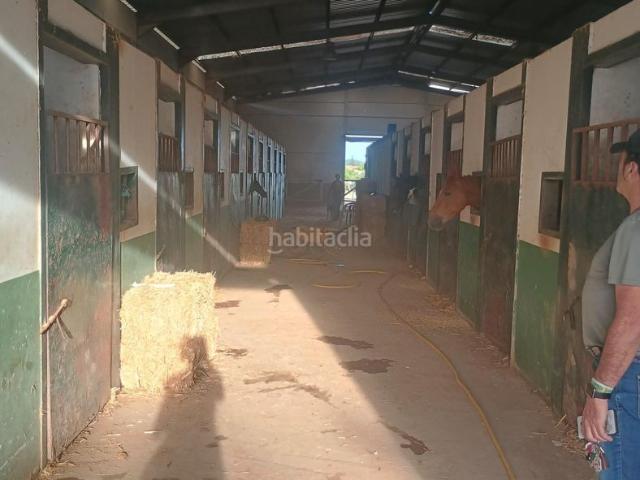 Casa en venta en Villanueva de los Castillejos. Finca rústica en Villanueva de los Castillejos Huelva. Casas Villanueva de los.