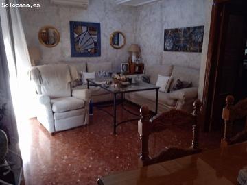Levante, Córdoba, La Campiñuela, Córdoba, Andalucía, Andalucía