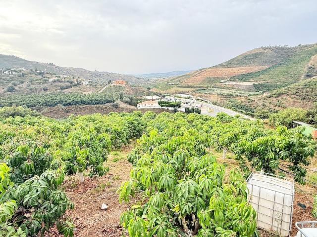Casa en venta en Viñuela. Chalet en La Viñuela con aguacates y mangos en producción. Casas.