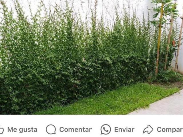 CASA EN VENTA EN ZONA LA RIOJA EN MONTERREY, N.L