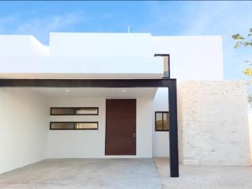 Yaxché Casares, Conkal, Yucatan - Terraza