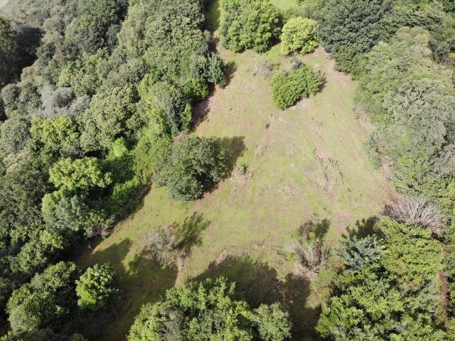 Casa en venta, Grado, Asturias