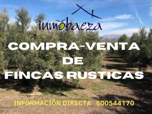 Casa en venta Jaén