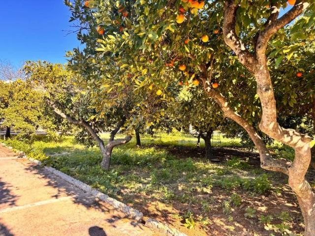 Casa en venta Jerez de la Frontera