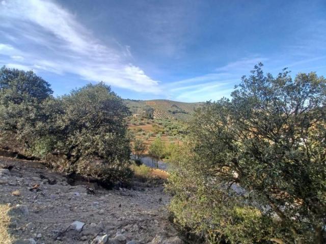 Casa en venta Loja