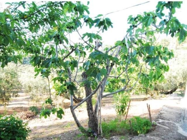 Casa en venta Loja