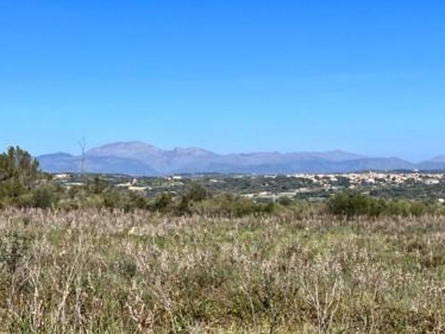 Casa en venta Petra