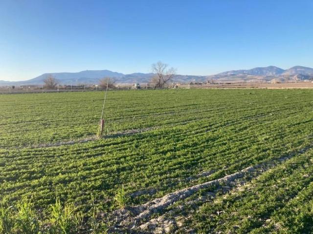 Casa en venta Pinos Puente