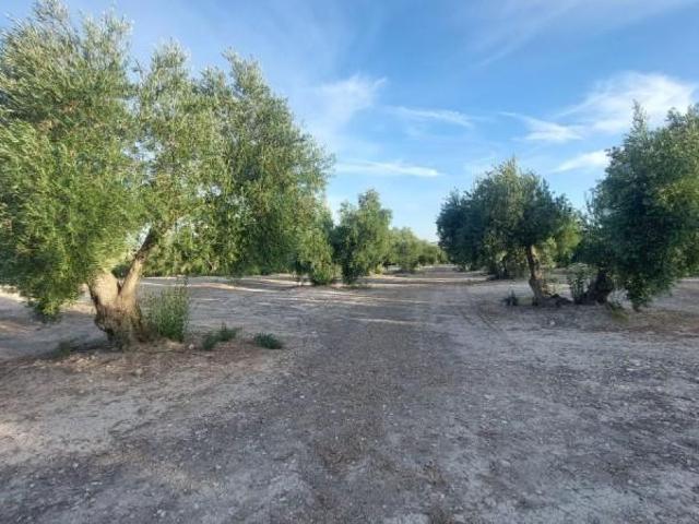 Casa en venta Quesada