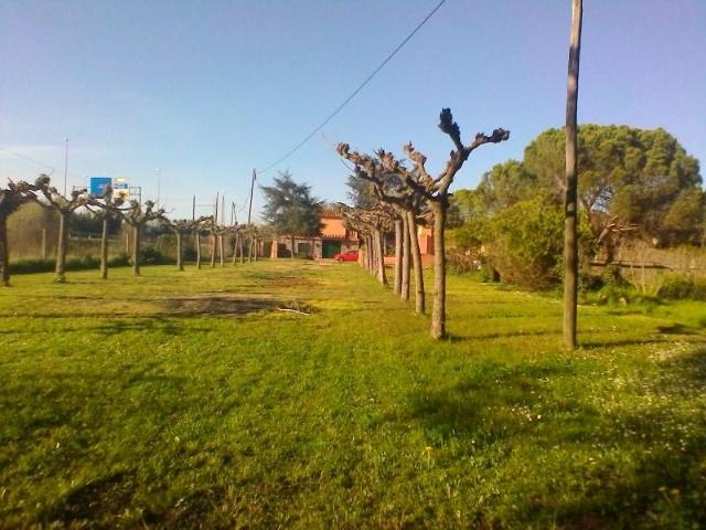 Casa en venta Riudellots de la Selva
