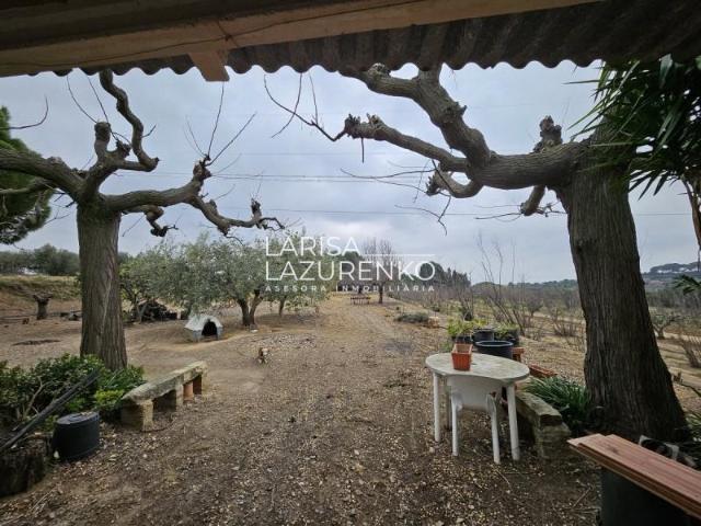 Casa en venta Riudoms