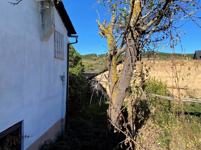 Casa en venta, San Lorenzo, León