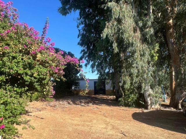 Casa en venta Utrera