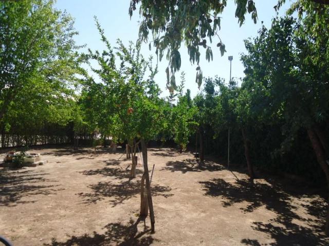 Casa en venta Valdepeñas