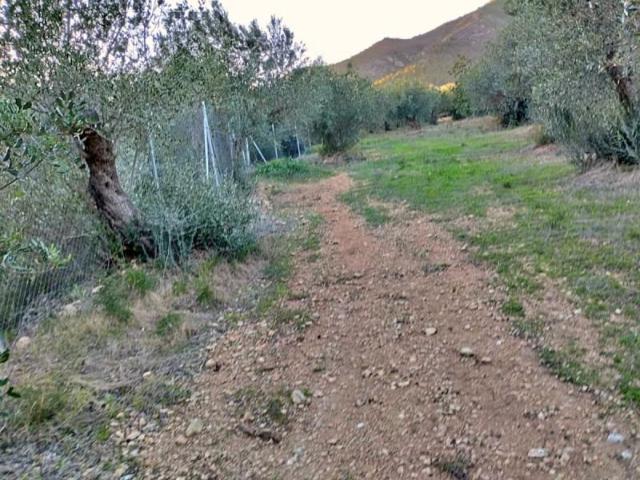 Casa en venta Xerta