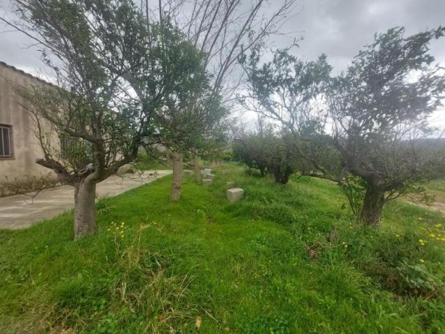 Casa en venta Xerta
