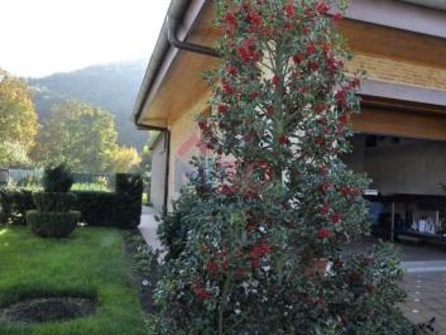 Casa en venta Zambrana